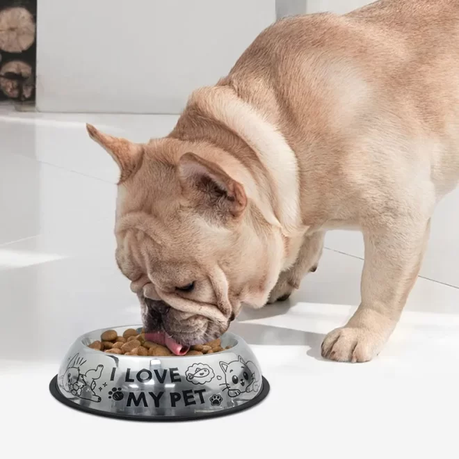 Custom Stainless Steel Pet Bowl