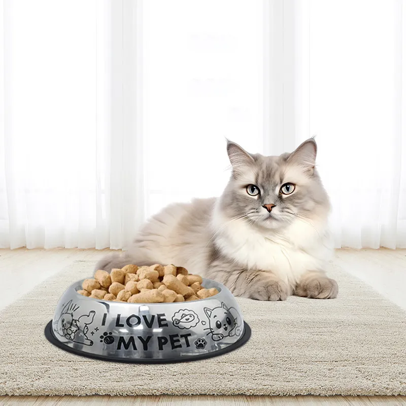 What is the Best Material for Cat Bowls-Stainless Steel