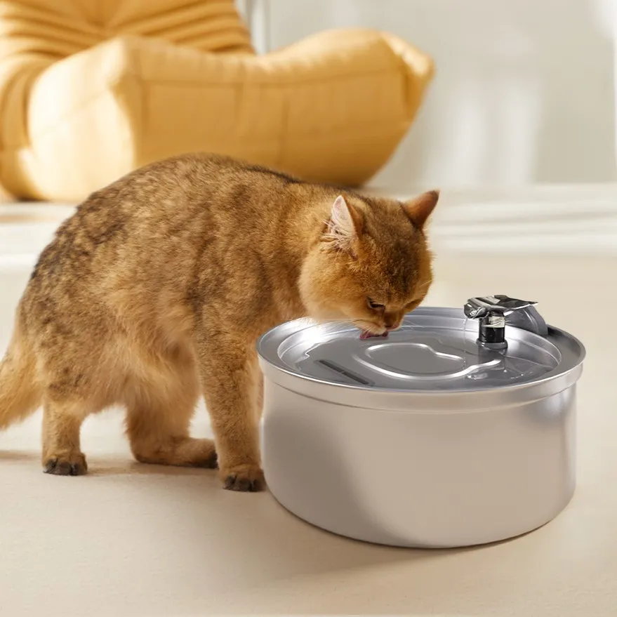 can water fountains make cats sick