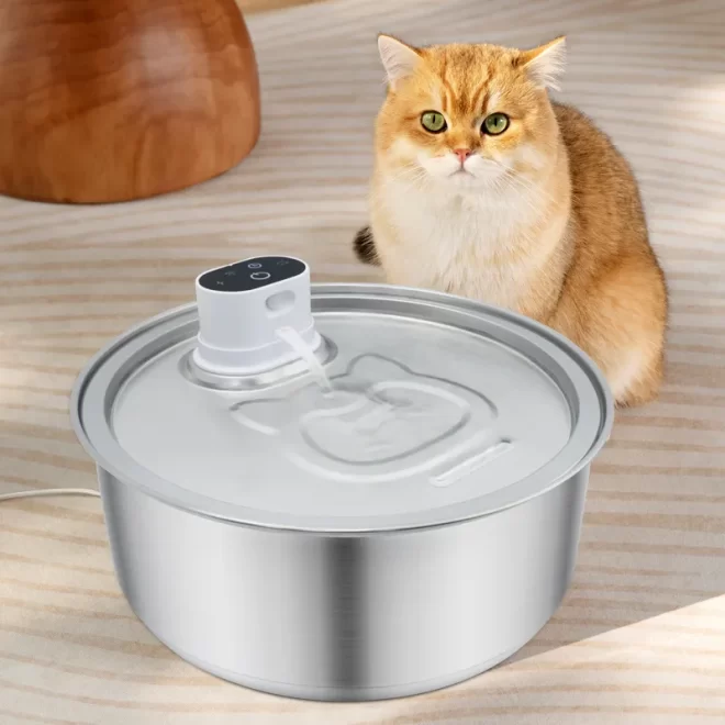 How to Clean Your Cat Water Fountain