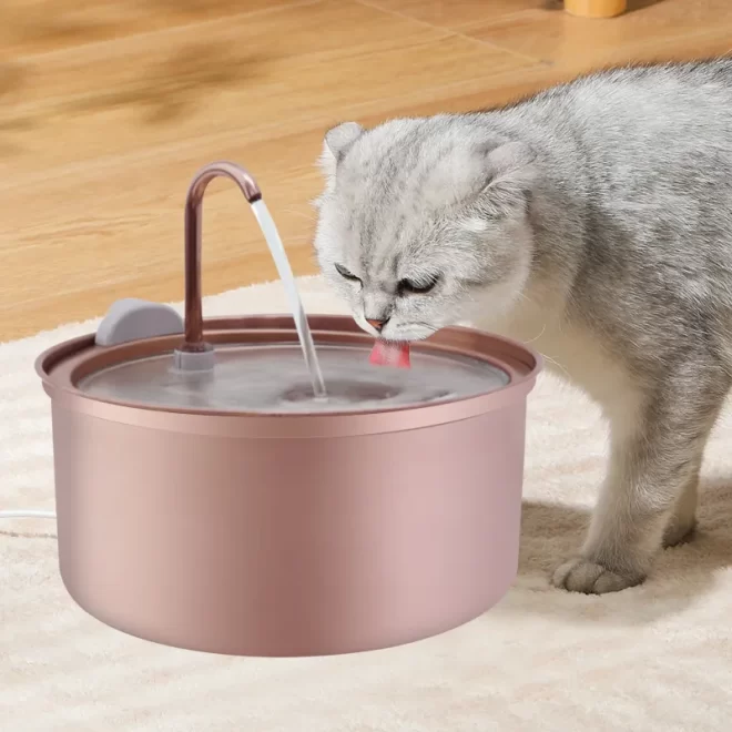 How to Clean Your Cat Water Fountain