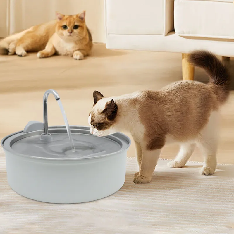 How to Clean Pet Water Dispensers: A Comprehensive Guide - Pebuudty