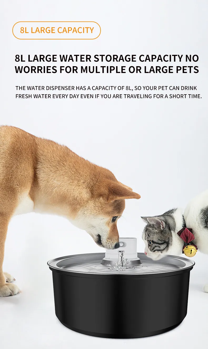 Best Pet Drinking Fountain (18)