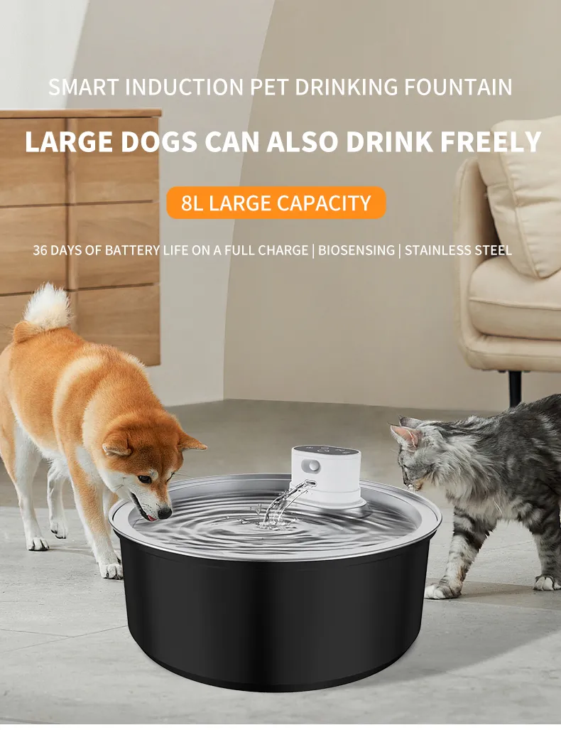 Best Pet Drinking Fountain supplier-YSJ801 (1)